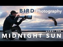 Bird Photography under the Midnight Sun ⎸ Summer in the Arctic