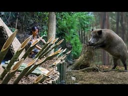 PROTECT Yourself from Wild Boar Attacks with Sharp Bamboo Traps! / Make Big Trap - Wild Boar Trap