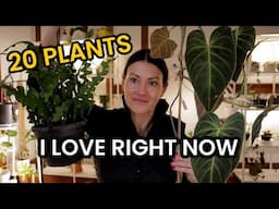 20 Plants I Love Right Now