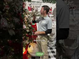 Using holiday picks to decorate around your home! #mcdonaldgardencenter #quicktips #decoration