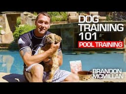 Dog Training 101: Pool Training | Brandon McMillan