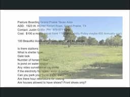 Pasture Horse Boarding In Grand Prairie, Texas - $100 A Month Per Horse