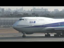 [2005 Itami (伊丹)] ANA Boeing 747-400D《NH74J JA8959 ITM050129a》