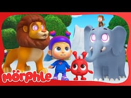 It's a Hoot!🦉✨ |  Mila and Morphle Save the Day | Fun Cartoons for Kids