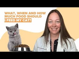 What, When and How Much Food Should I Feed My Cat?