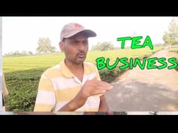 Tea business  I  How to start tea business #teabusiness