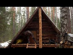 WINTER OVERNIGHT IN A LOG CABIN. HUGE ANIMALS CAME TO THE HUT.