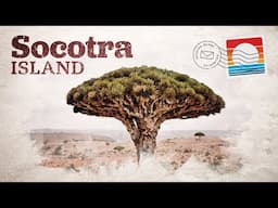 Socotra: What Life is Like on an Island Annexed by the UAE