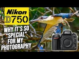 WHY The Nikon D750 Is So Special For My Photography