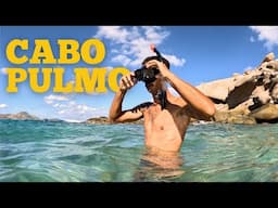 Exploring the NATURAL WONDERS of CABO PULMO National Park