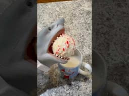 SHARK PUPPETS EXPLOSIVE HOT CHOCOLATE!