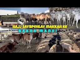 Hajj say pehlay 🐫🐏bakra Mandi Ka visit  | Live Hajj 2024