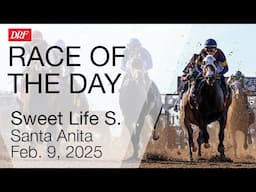 DRF Sunday Race of the Day | Sweet Life Stakes | February 9, 2025