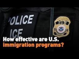 How effective are U.S. immigration programs?