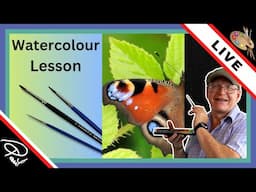 How to Paint a WATERCOLOR BUTTERFLY 🦋