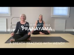 Yoga Over 60 /Senior Yoga -  Pranayama with Wendy