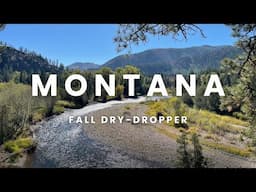 Fly Fishing in MONTANA:  FANTASTIC Dry-Dropper Action