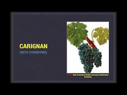 Winecast: Carignan