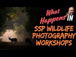 What Happens in SSP Wildlife Photography Workshops