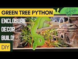 DIY Green tree python enclosure: Ancient City Themed!