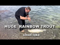 Courtney Lake Huge Rainbow Trout