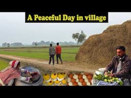 Village Life the Best Lifestyle | Villages of Punjab Pakistan