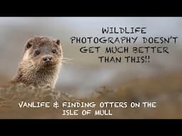 It Doesn't Get Much Better - Wildlife Photography on the ISLE OF MULL