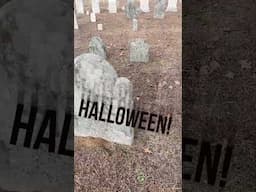 HAPPY HALLOWEEN 👻 A Walk Through An Old Graveyard