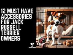 12 Must Have Accessories for Jack Russell Terrier Owners