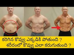 How fat Leaves your Body? Fat loss Science explained in Telugu