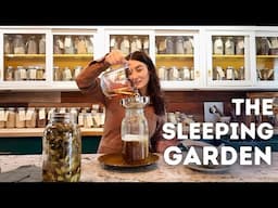 Sowing Seeds & Pressing Tinctures {Homestead Vlog}