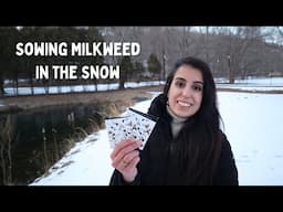 Sowing Milkweed Around the Pond + Garden Updates & February Plans ❄️