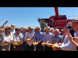 Abertura da Colheita do Milho no Rio Grande do Sul destaca o potencial do Estado - Rio Grande Rural