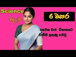 Science grade 6 part2 | G6 science paper Discussing | Science sinhala medium