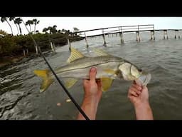 Florida Fishing Products OSPREY CE PRO vs. The Indian River | Fishing Reel Review...