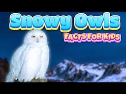 Snowy Owls Facts for Kids That Will Make Them Love Nature