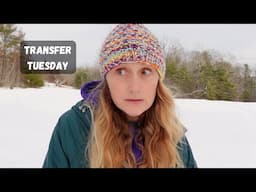 I had to pull money FROM SAVINGS - low income month | Transfer Tuesday