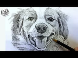 How to Draw a Dog in Pencil Step by Step and Easy