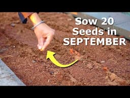 DIRECT SOW These 20 Seeds in SEPTEMBER