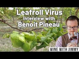 Leafroll Virus in Virginia : Interview with Virginia Winemaker Benoit Pineau 🍇🌿