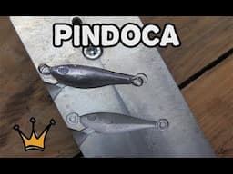 ISCA PINDOCA - TESTE DE FORMA RZ PESCA