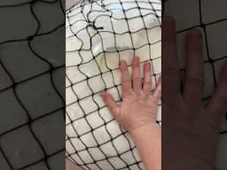 GIGANTIC mesh Stressball!!! *satisfying* ​⁠@MrsBench