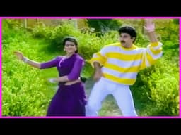 Suman, Vani Viswanath Evergreen Superhit Love Song - Collector Gari Alludu Movie Songs |Telugu Songs