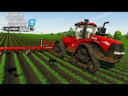 Planting Cotton, Hoeing & Spraying Fertilizer and Herbicides  | #Zielonka Ep.102 | #FS22