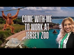 Come to work with me at Jersey Zoo!