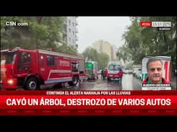 En medio del TEMPORAL, se CAYÓ un ÁRBOL y APLASTÓ un AUTO en ALMAGRO