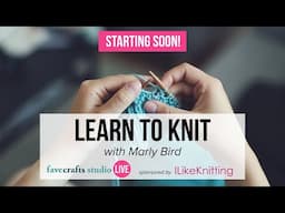 Learn to Knit with Marly Bird