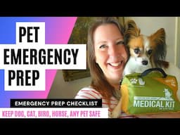 Pet Emergency Kit for Medical Urgencies and Disaster Preparedness Keep Fur Babies Safe and Sound   S