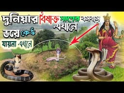 দুনিয়ার সব বিষাক্ত সাপের বসবাস এখানেই | এখানে সবাই ভয় পায় | সর্পদেবী মনসার বাসস্থান! |