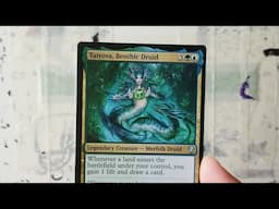 MTG Alter-Stream: Tatyova Alter!